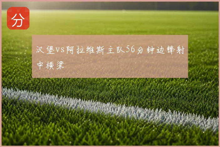 汉堡vs阿拉维斯主队56分钟边锋射中横梁